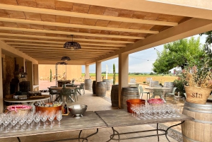 Palma: Vintagetåg i apelsinodalen och rundtur på apelsinodling