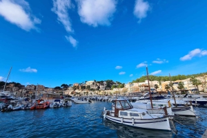 Palma: Vintagetåg i apelsinodalen och rundtur på apelsinodling