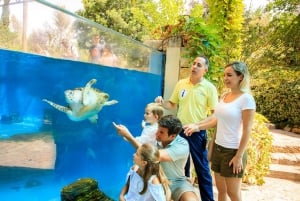 Palma: Palma Aquarium biljett med transferservice