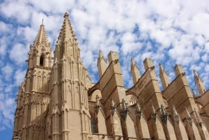 Palma: Palma, Catedral y Valldemossa con servicio de recogida