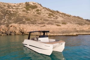 Palma: Private boat with Skipper from Playa de Palma