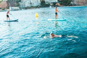 Palma: Private Motor Sailing Cruise on delux Mallorcan Llaut