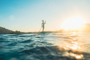 Palma: Private Motor Sailing Cruise on delux Mallorcan Llaut