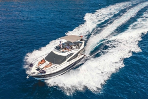 Пальма: частная экскурсия на моторной лодке с флайбриджем — все включено