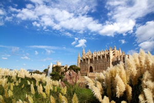 Palma Private Guided Walking Tour