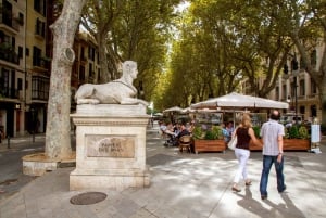 Palma Private Guided Walking Tour