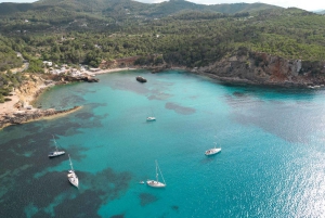 Palma: escursione privata di mezza giornata in barca a vela con tapas e bevande