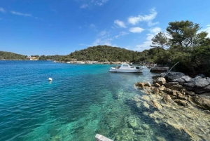 Palma: escursione privata di mezza giornata in barca a vela con tapas e bevande