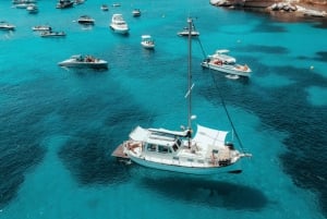 Palma: Private Motor Sailing Cruise on delux Mallorcan Llaut