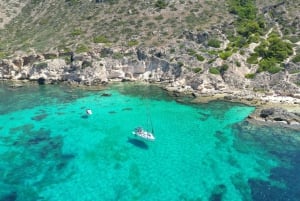 Palma: Privat seilbåtutflukt med valgfri Paella