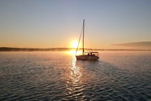 Palma: Privat seilbåtutflukt med valgfri Paella