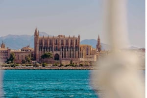 Palma: Paseo en Barco por Punta Negra y Ses Illetes con Música en Vivo