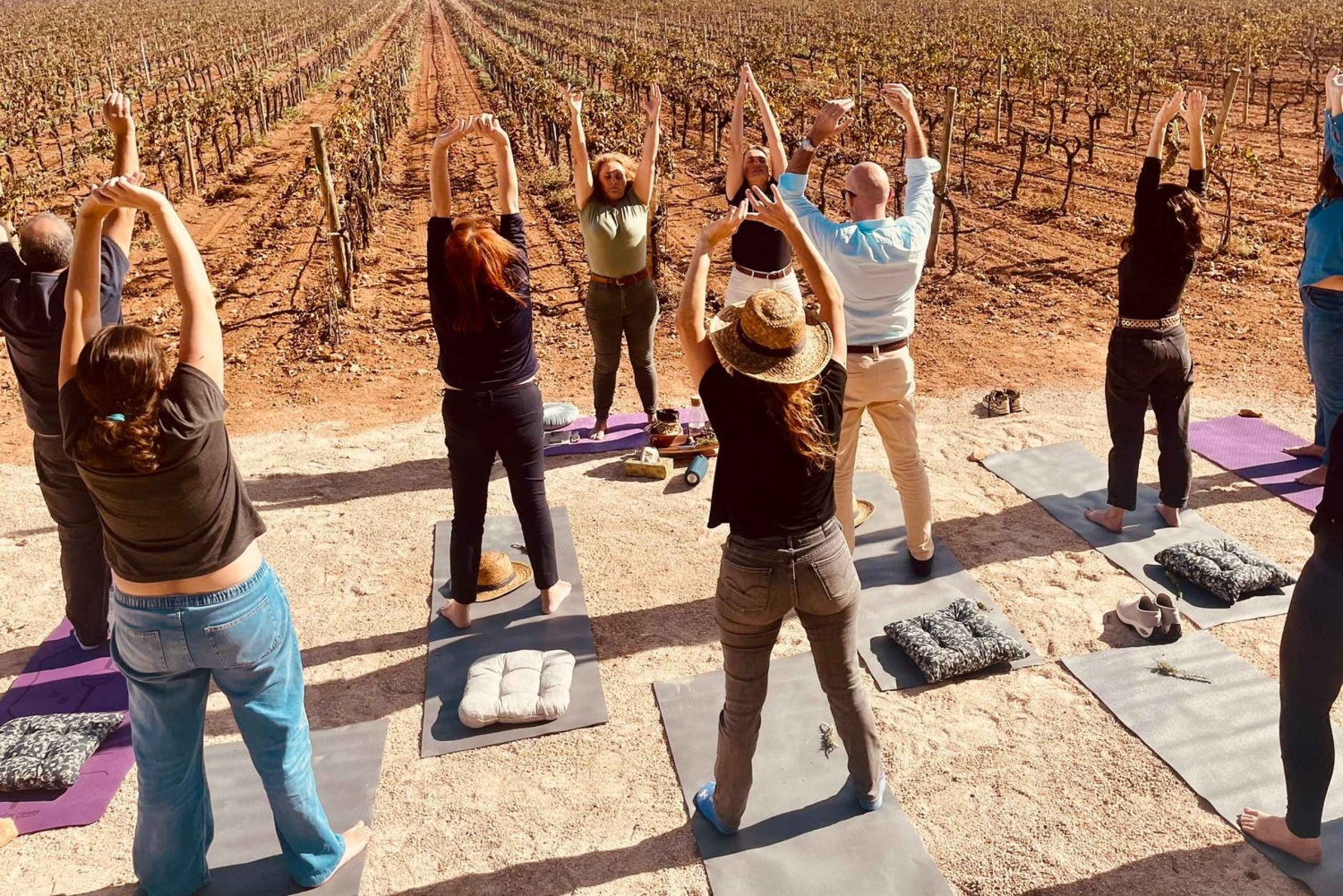 Palma: QI GONG på BODEGAS BORDOY