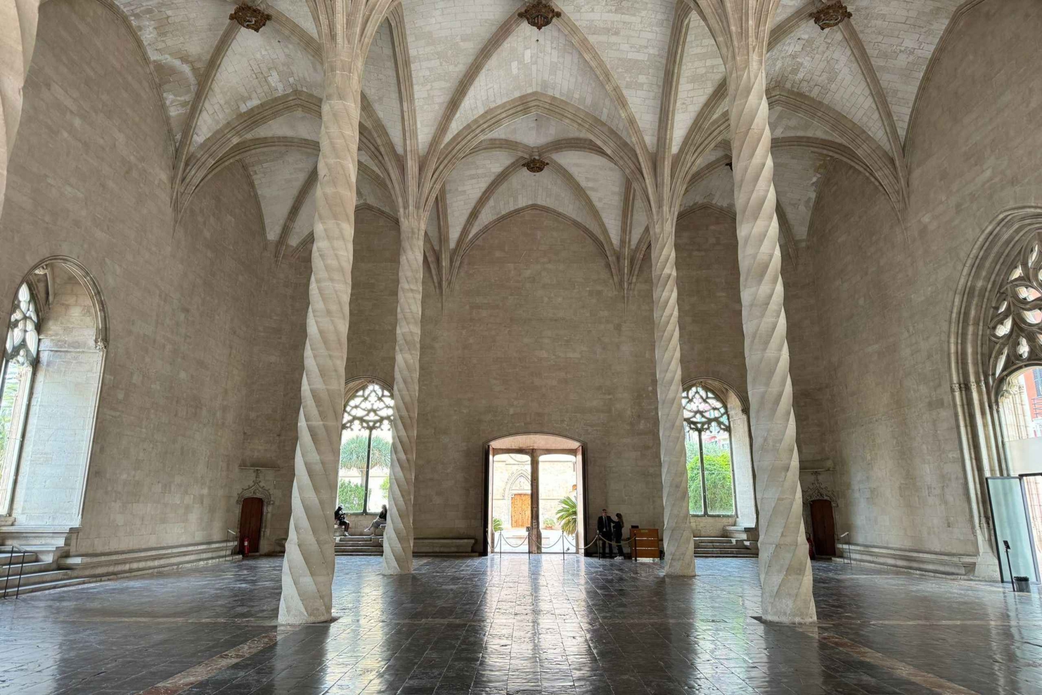 Palma Excursie Fietstour (transfer inbegrepen)