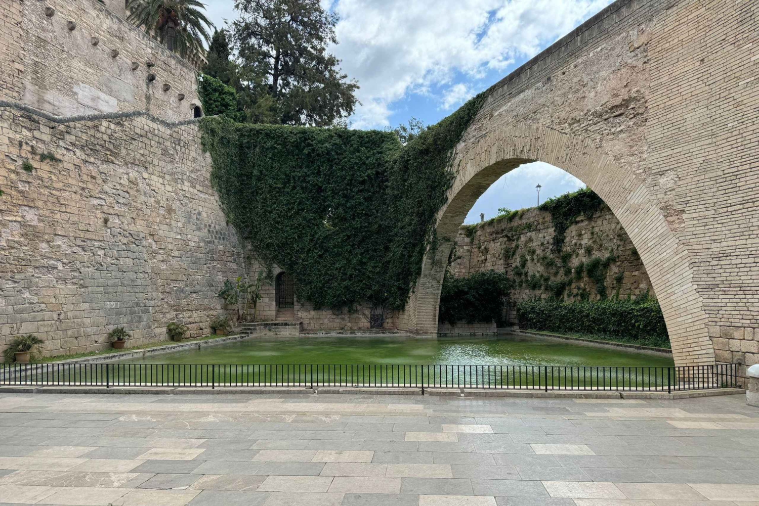 Palma Excursie Fietstour (transfer inbegrepen)