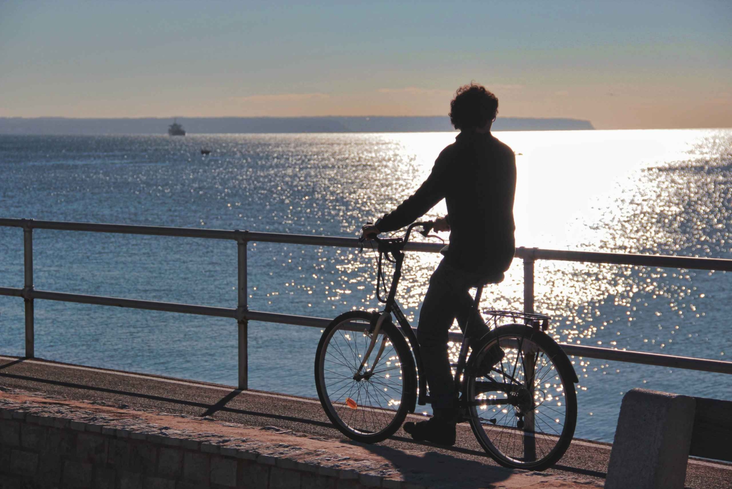 Palma Excursie Fietstour (transfer inbegrepen)