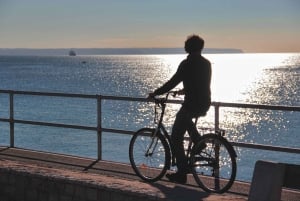 Escursione a Palma di Baviera in bicicletta (Trasferimento incluso)