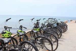 Excursion à Palma à vélo (transfert inclus)