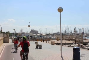 Excursion à Palma à vélo (transfert inclus)