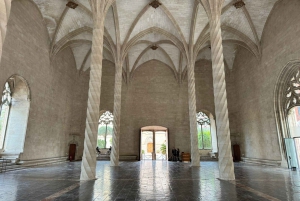 Palma Excursie Fietstour (transfer inbegrepen)