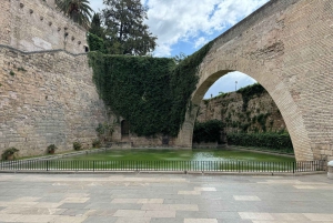 Palma Excursie Fietstour (transfer inbegrepen)