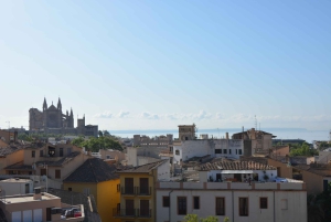 Palma Excursie Fietstour (transfer inbegrepen)