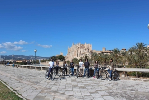 Palma Excursie Fietstour (transfer inbegrepen)