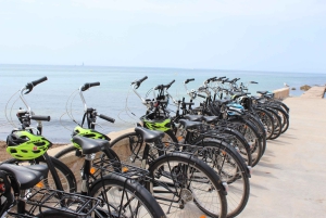 Palma Excursie Fietstour (transfer inbegrepen)