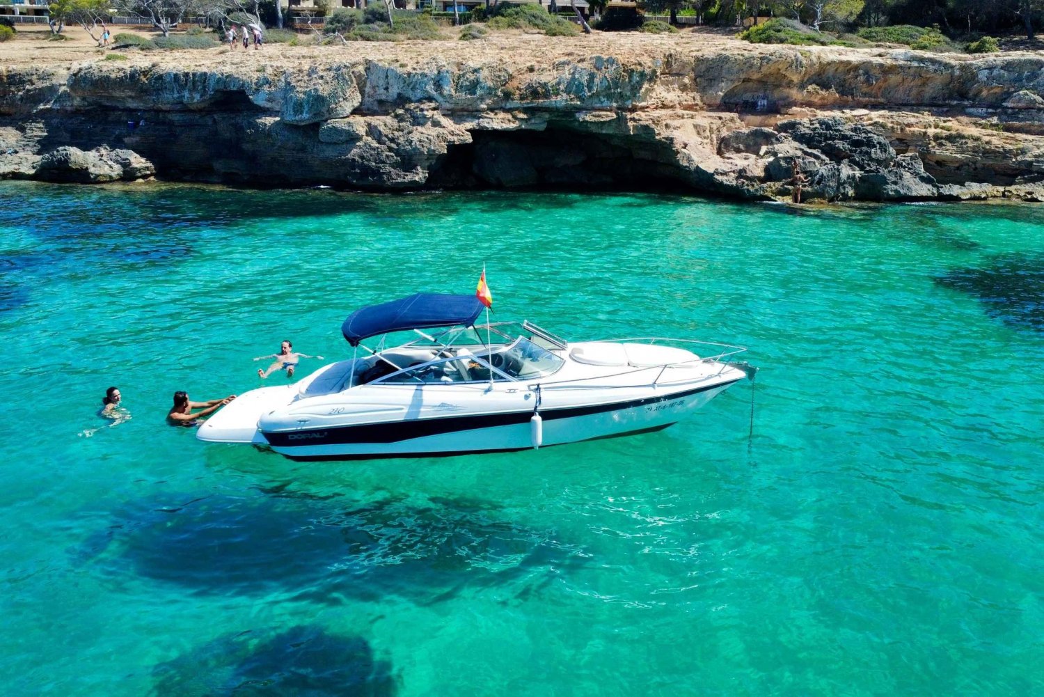 PALMA: Tour in motoscafo con snorkeling e snack