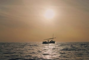 Palma: Rejs o zachodzie słońca z widokiem na katedrę