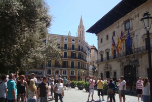 ワインとタパスの試飲付きパルマツアー