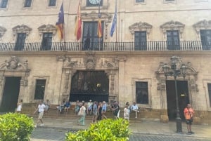 ワインとタパスの試飲付きパルマツアー