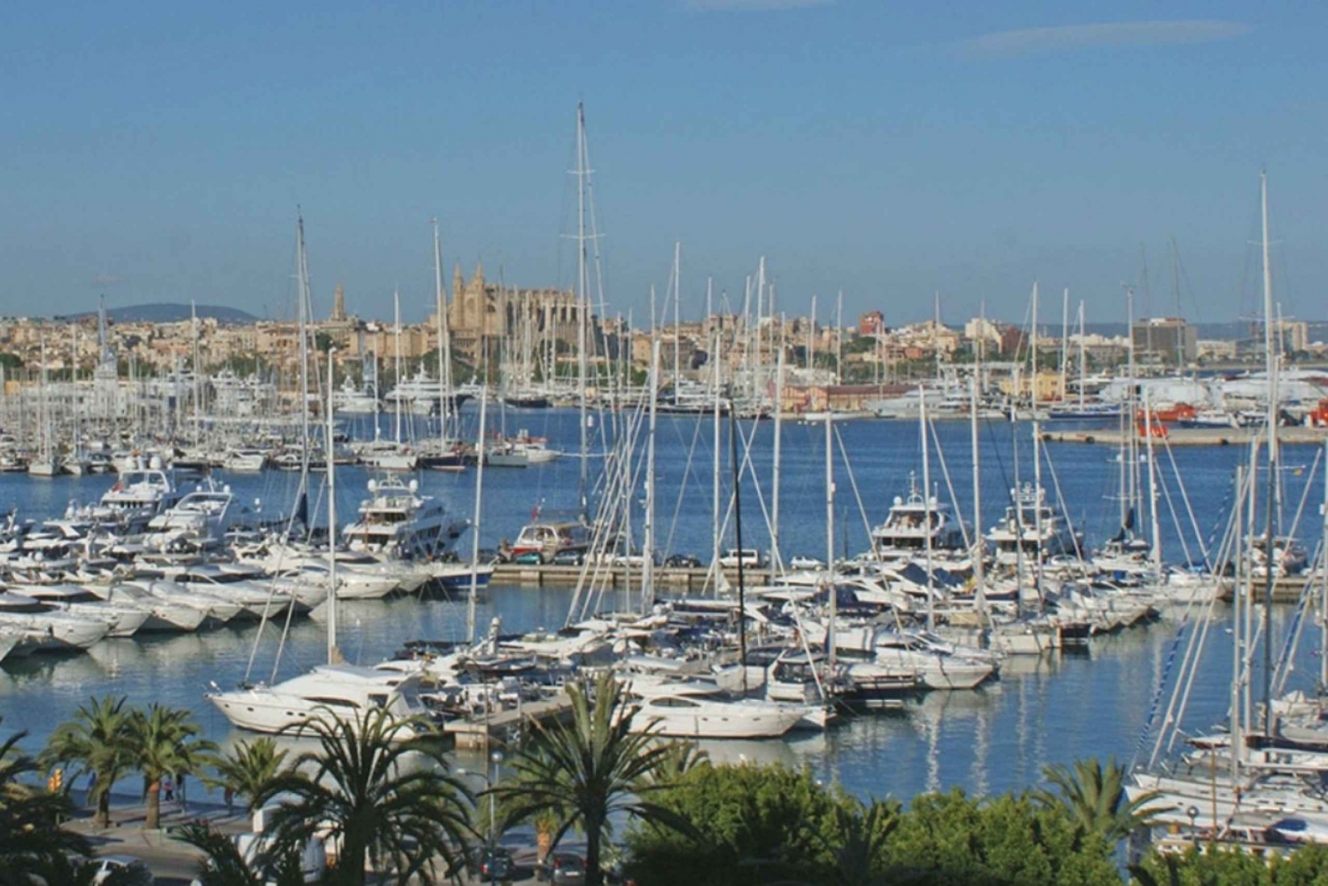 Palma: City Highlights Walking Tour with Optional Transfer