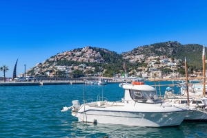 Palma: City Highlights Walking Tour with Optional Transfer