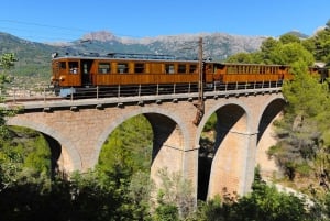 Palma: Tramuntana Full-Day Tour with Sóller Train and Lunch