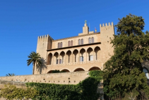 Palma: Walking Food Tour