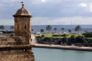 Palma: Rundvandring med medelhavsdelikatesser