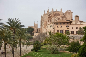 Palma: Walking Tour with Mediterranean Delicacies