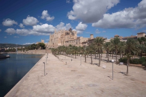 Palma: Walking Tour with Mediterranean Delicacies