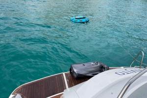 Palma: Yachtcharter Daytrip on Sunseeker Portofino 53