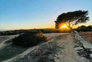 Palmanova: Outdoor Escape-Game and walking tour in German
