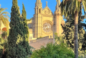 Palmas sightseeing highlights in a private and exclusive way