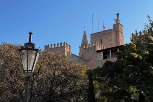 Palmas sightseeing highlights in a private and exclusive way