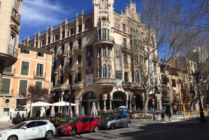 Palmas sightseeing highlights in a private and exclusive way