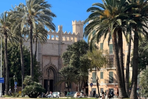 Palmas sightseeing highlights in a private and exclusive way