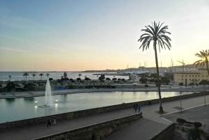 Palmas sightseeing highlights in a private and exclusive way