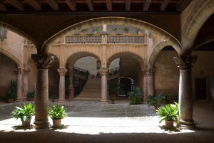 Palmas sightseeing highlights in a private and exclusive way