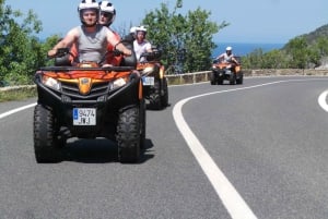 ペゲラ：クワッド 1 日ツアー