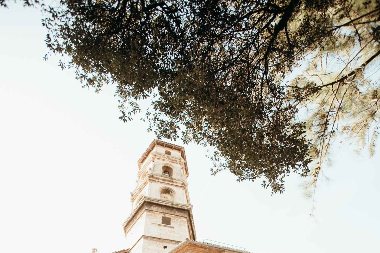 Expedição fotográfica pelo coração de Palma