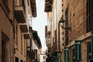 Expedição fotográfica pelo coração de Palma